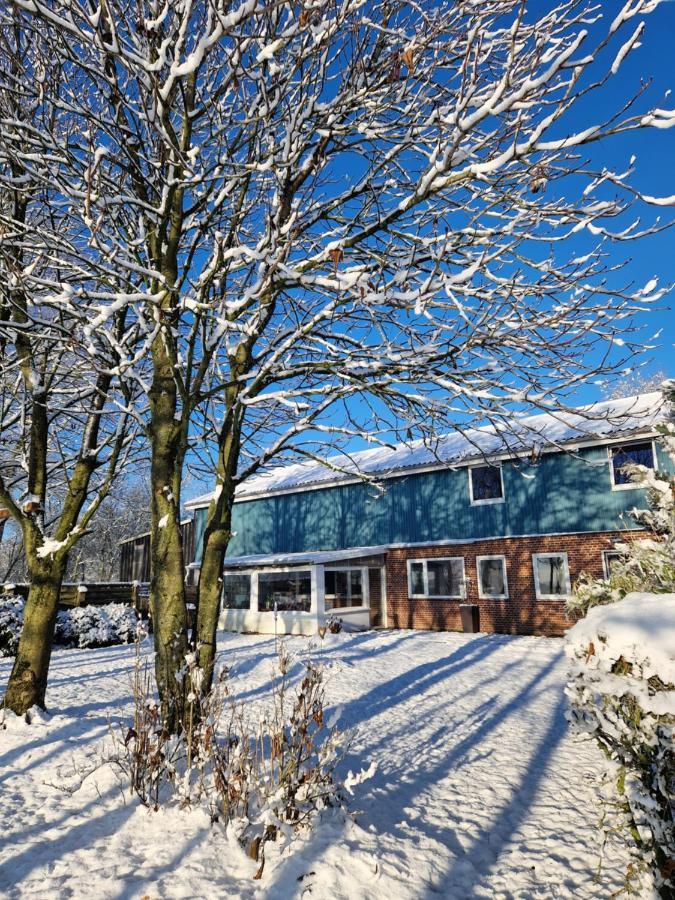 Ferienwohnung Sort Sol Grellsbuelldeich 7 Aventoft 外观 照片