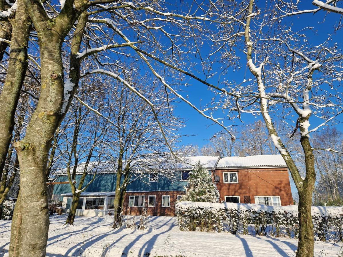 Ferienwohnung Sort Sol Grellsbuelldeich 7 Aventoft 外观 照片