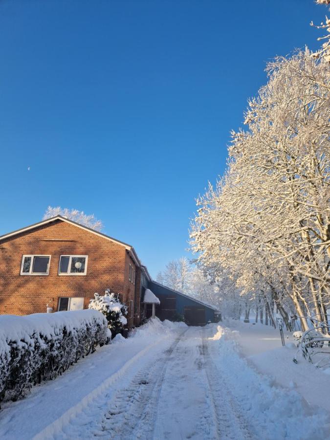 Ferienwohnung Sort Sol Grellsbuelldeich 7 Aventoft 外观 照片