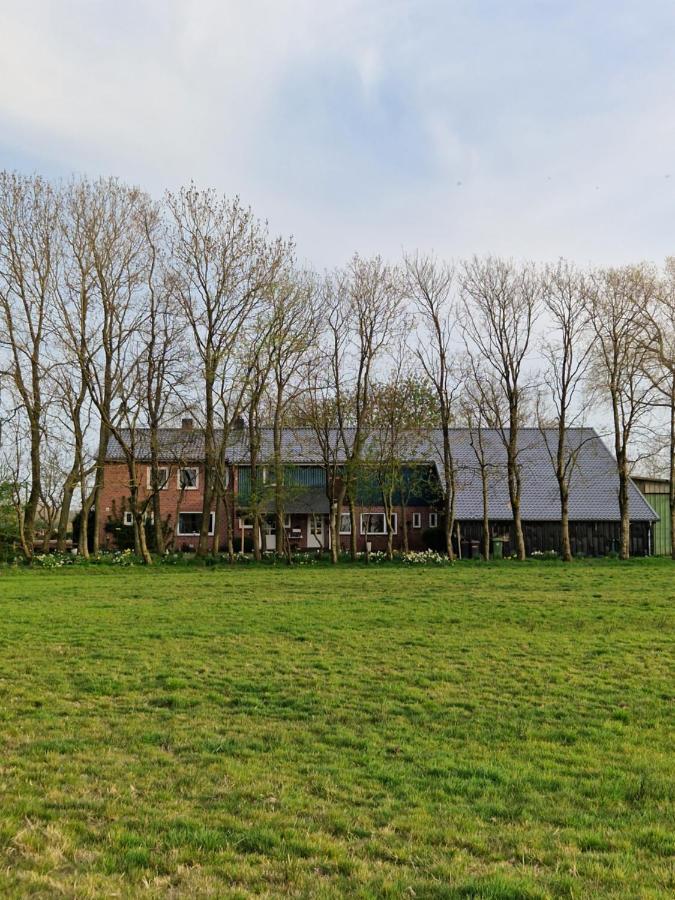 Ferienwohnung Sort Sol Grellsbuelldeich 7 Aventoft 外观 照片