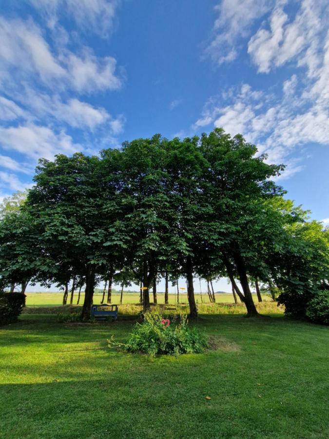 Ferienwohnung Sort Sol Grellsbuelldeich 7 Aventoft 外观 照片